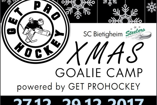 Xmas goalie camp 27.12-29.12.2017 small